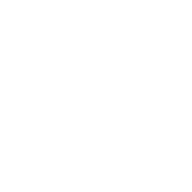 Plush squeaky guitar toy with Nashville detailing